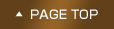 PAGE TOP