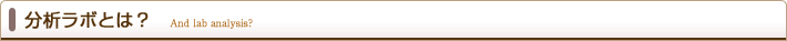 分析ラボとは?