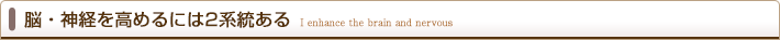 脳・神経を高めるには2系統ある