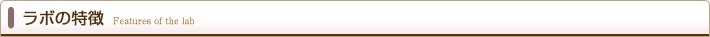 ラボの特徴
