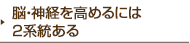 脳・神経を高めるには2系統ある