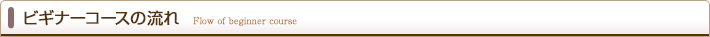 ビギナーコースの流れ