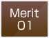 merit01