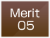 merit05