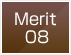 merit08