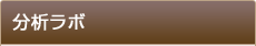 分析ラボ